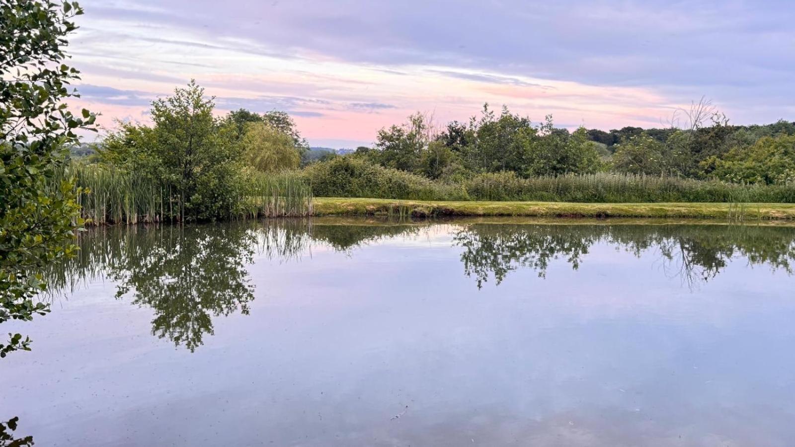 Bransford Farm Fishery & B & B Exteriör bild
