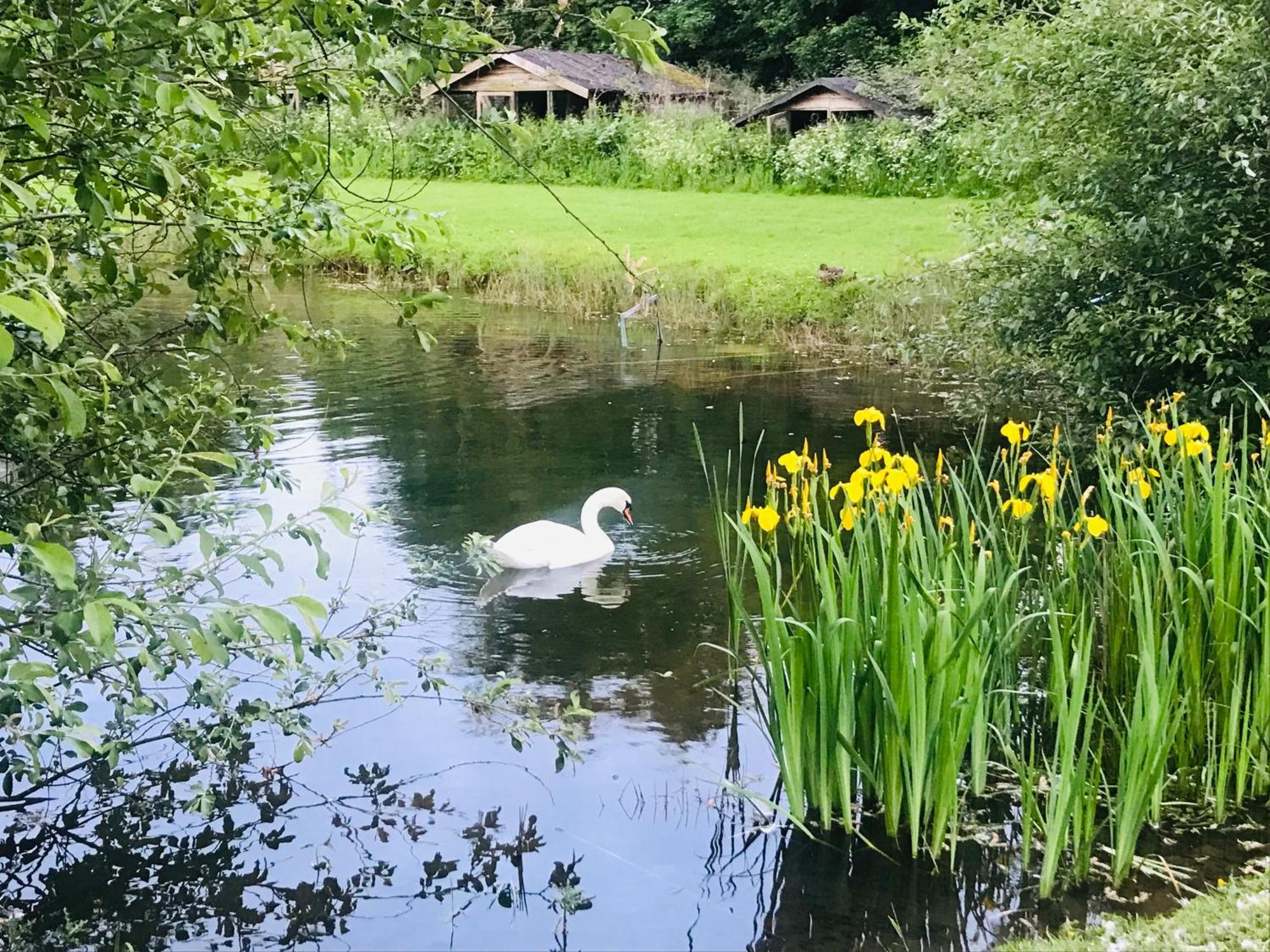Bransford Farm Fishery & B & B Exteriör bild